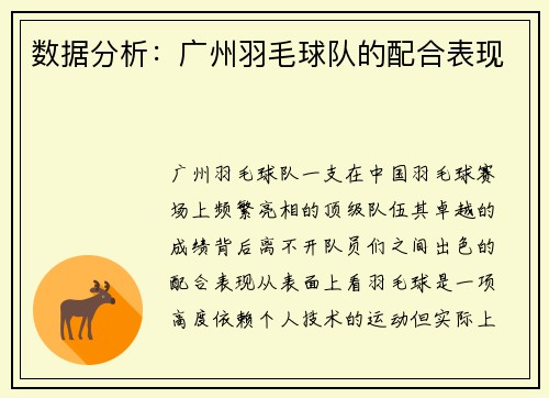 数据分析：广州羽毛球队的配合表现