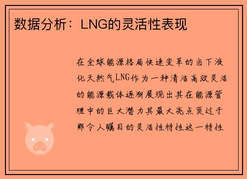 数据分析：LNG的灵活性表现